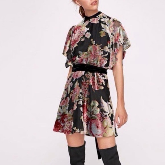 Zara Dresses & Skirts - ❄️Winter 50% Sale! Zara Velvet Burnout Devore Mini Dress w/ Waist and Neck Tie